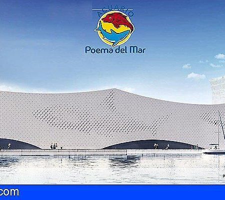 Pension Sea Of Clouds Las Palmas / Gran Canaria Exterior foto